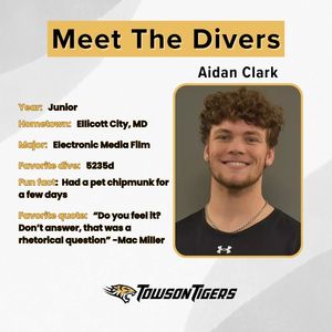Image post by @towson_diving on Instagram