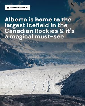 Image post by @curiocitycalgary on Instagram