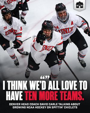 Image post by @hockeyhousepod on Instagram