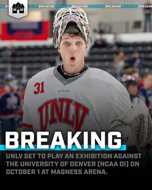 Image post by @hockeyhousepod on Instagram