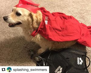 Image post by @arenausa on Instagram