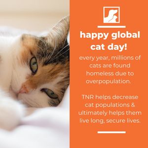 Image post by @spokhumanesoc on Instagram