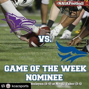 Image post by @kwucoyotes on Instagram