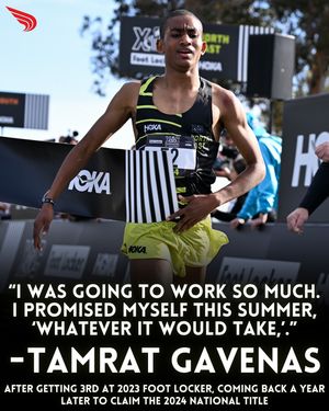Image post by @dyestat on Instagram