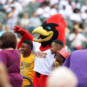 Image post by @memphisredbirds on Instagram