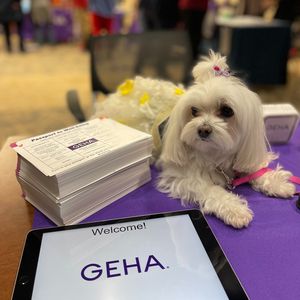 Image post by @gehahealth on Instagram