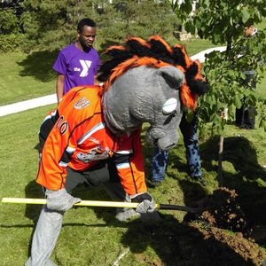 Image post by @kcmavericks on Instagram