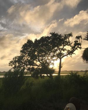 Image post by @kiawahresort on Instagram
