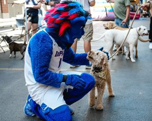 Image post by @DePaulMSOC on Twitter