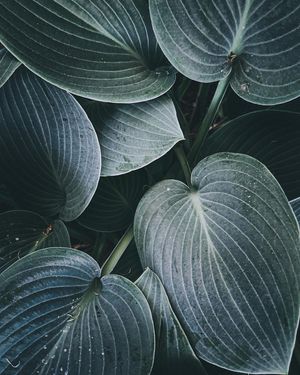 Image post by @moment on Instagram