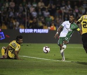 Image post by @luisnani on Instagram