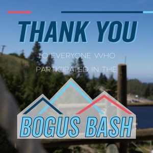 Image post by @bogusbasin on Instagram