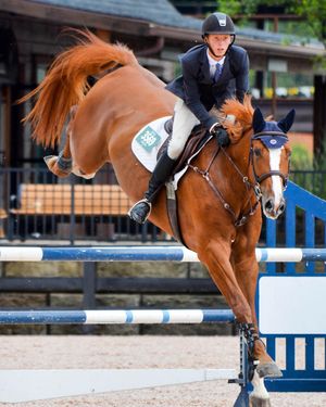 Image post by @gracescreative on Instagram