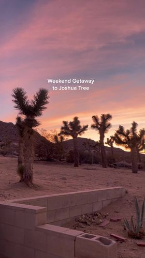 Video post by @liazneimer on TikTok