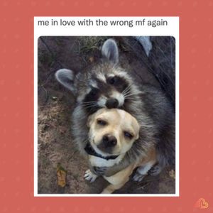 Image post by @theblinkdate on Instagram