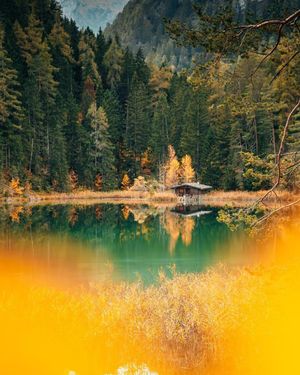 Image post by @unsplash on Instagram