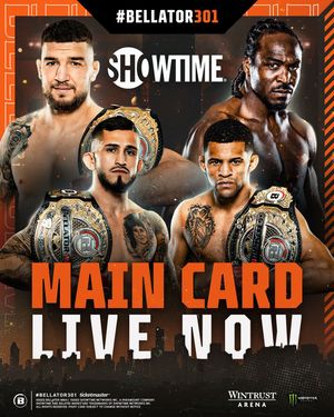 Image post by @bellatormma on Instagram