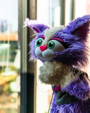 Image post by @watchmeatball on Instagram