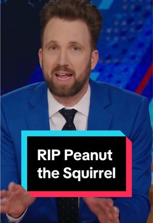 Video post by @thedailyshow on TikTok