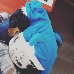Image post by @hollysmee on Instagram
