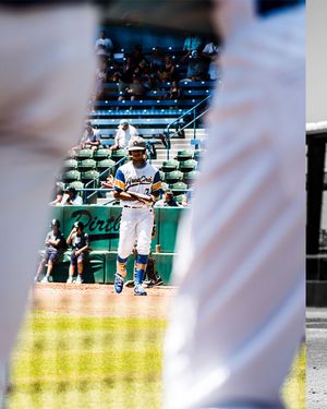 Image post by @areacodebaseball on Instagram