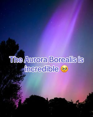 Image post by @brbetting_ on TikTok