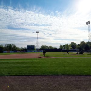 Image post by @burlington_bees on Instagram