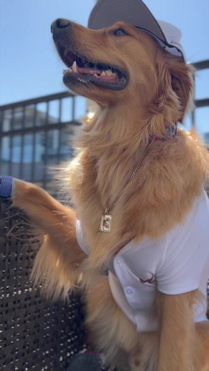 Video post by @braves on TikTok