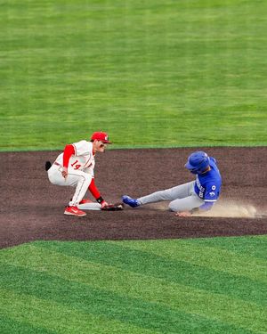 Image post by @isuredbirdbaseball on Instagram
