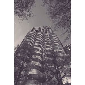 Image post by @joshua.komer on Instagram
