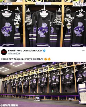 Image post by @everythingcollegehockey on Instagram