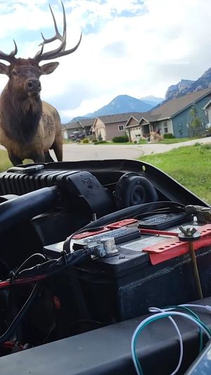 Video post by @AccuWeather on Facebook