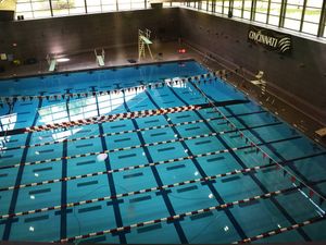 Image post by @gobearcatsswim on Instagram