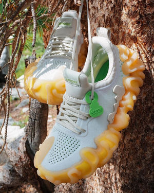 Image post by @kicksvisionofficial on Instagram
