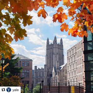 Image post by @yaleswimdive on Instagram