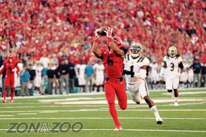 Image post by @zonazooofficial on Instagram