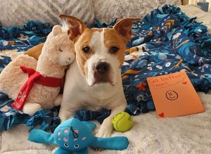 Image post by @LiveLikeRoo on Facebook