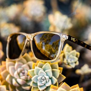 Image post by @knockaround on Instagram