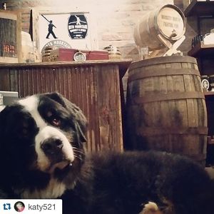 Image post by @10thmtnwhiskey on Instagram