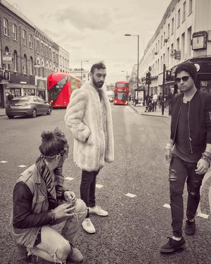 Image post by @magicgiant on Instagram