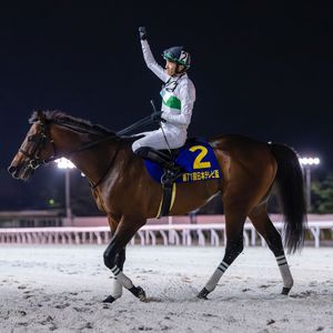 Image post by @worldhorseracing on Instagram