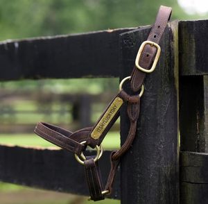 Image post by @spendthriftfarm on Instagram