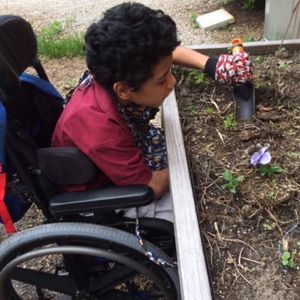 Image post by @kidsgardening on Instagram