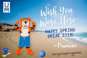 Image post by @uofmemphis on Instagram