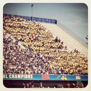 Image post by @udbluehens on Instagram