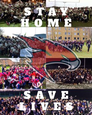 Image post by @kentfalcons on Instagram