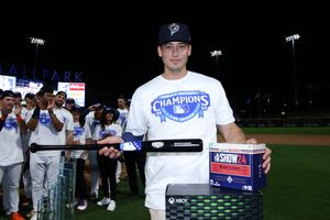 Image post by @MiLB on Twitter