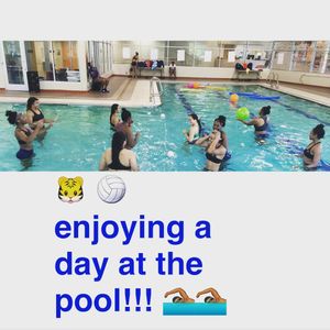 Image post by @tsutigers on Instagram