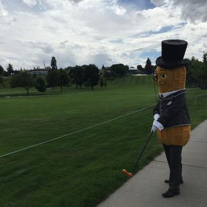 Image post by @mrpeanutofficial on Instagram