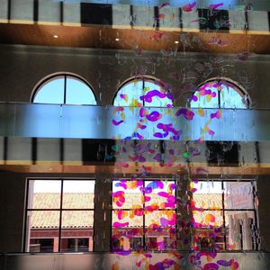 Image post by @uscdornsife on Instagram